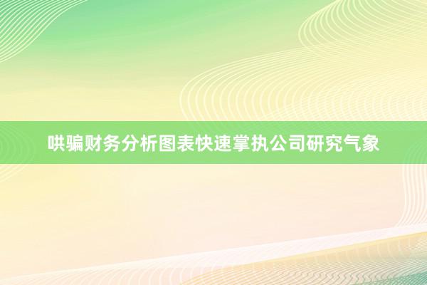 哄骗财务分析图表快速掌执公司研究气象
