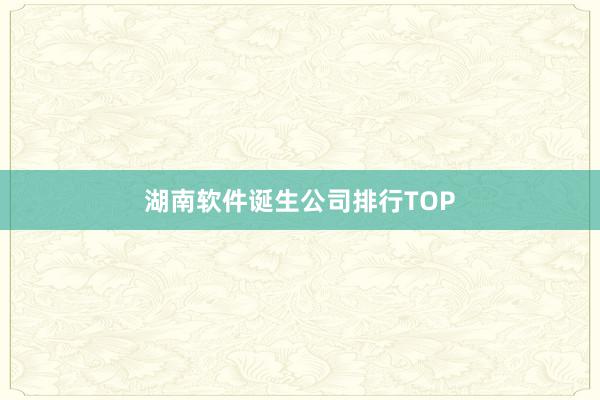 湖南软件诞生公司排行TOP