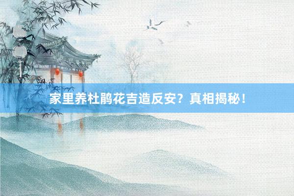 家里养杜鹃花吉造反安？真相揭秘！