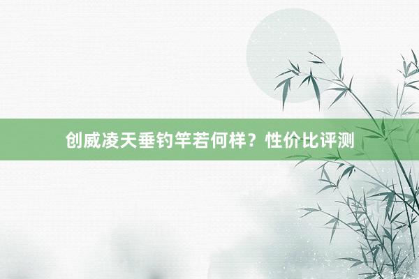 创威凌天垂钓竿若何样？性价比评测